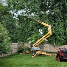 Best Pest Control for Lawns  in Pasco, WA