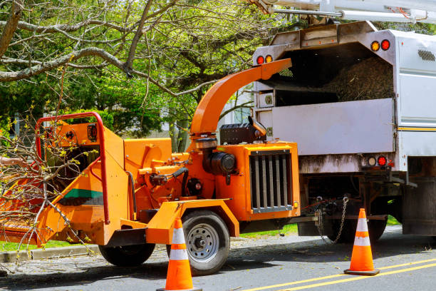 Best Tree Removal  in Pasco, WA