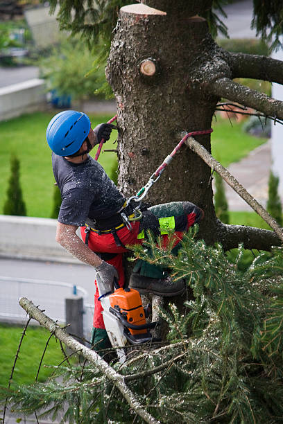 Best Mulching Services  in Pasco, WA