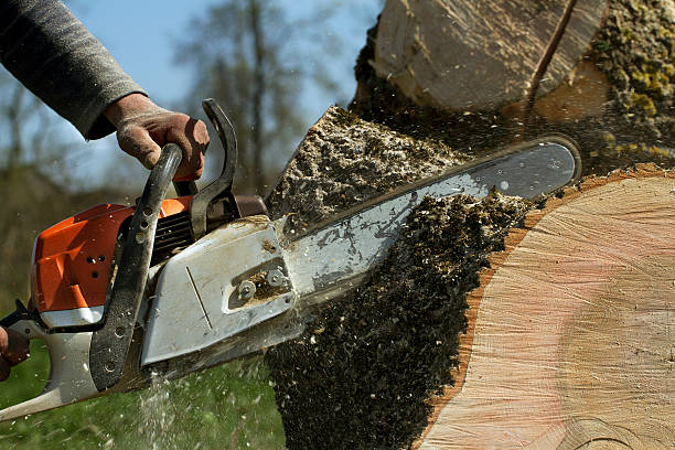 Best Lawn Dethatching  in Pasco, WA